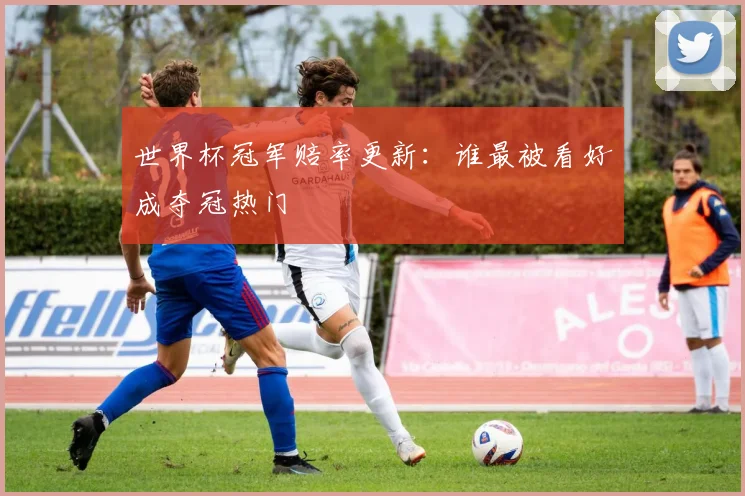 世界杯冠军赔率更新：谁最被看好成夺冠热门